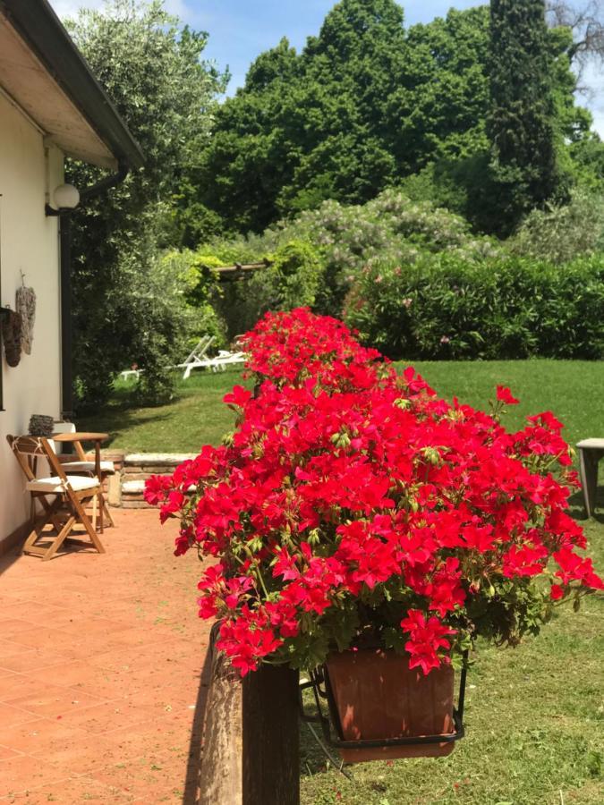Agriturismo B&B Le Casette Sul Garda Кавайон-Веронезе Экстерьер фото