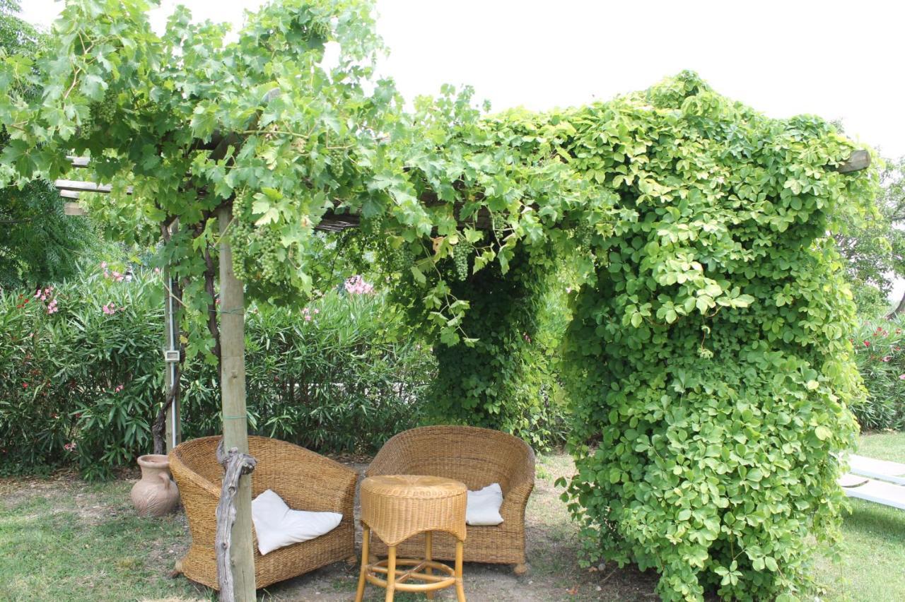Agriturismo B&B Le Casette Sul Garda Кавайон-Веронезе Экстерьер фото