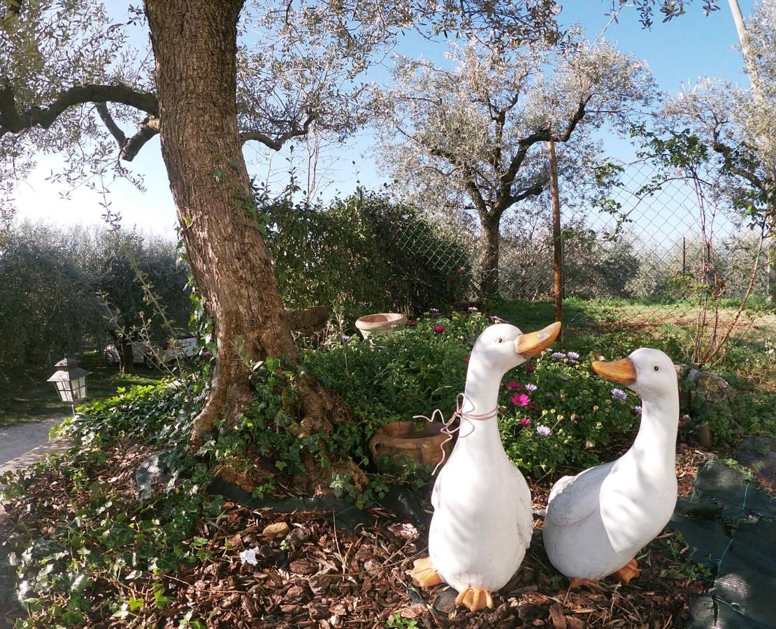 Agriturismo B&B Le Casette Sul Garda Кавайон-Веронезе Экстерьер фото